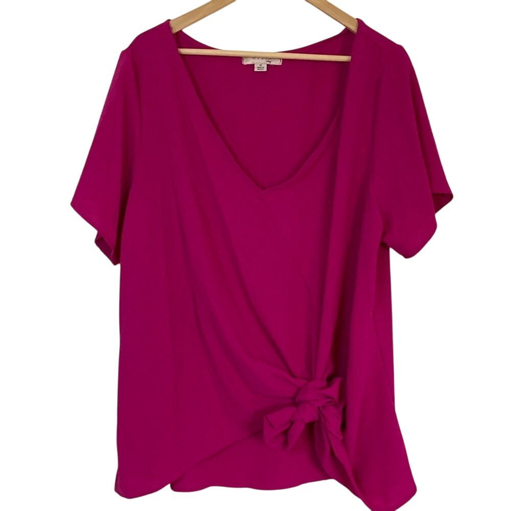 Misia Curvy Short Sleeve Blouse Womens‎ 1X Pink V Neck Waist Tie Sash